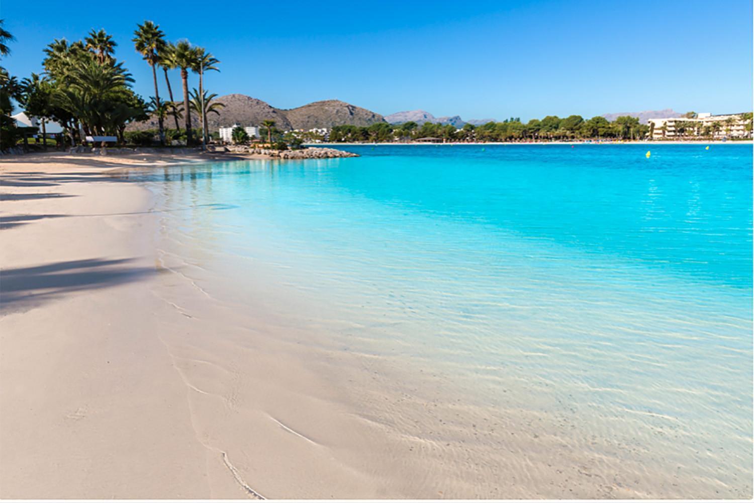 The Shell Ll New At The Beach, With Sea Views And Swimming Pool Apartment Alcudia (Mallorca)